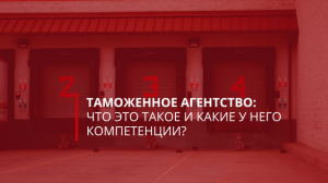 ТАМОЖЕННОЕ АГЕНТСТВО: ЧТО ЭТО ТАКОЕ И КАКИЕ У НЕГО КОМПЕТЕНЦИИ?